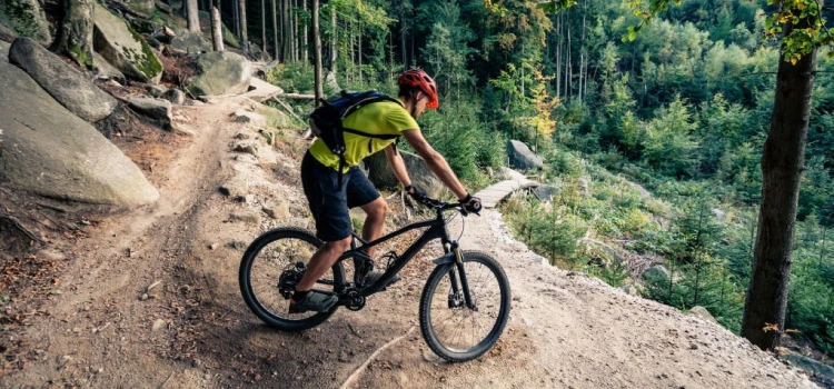 5 Safety Tips to Thrive While Riding MTB Cycles