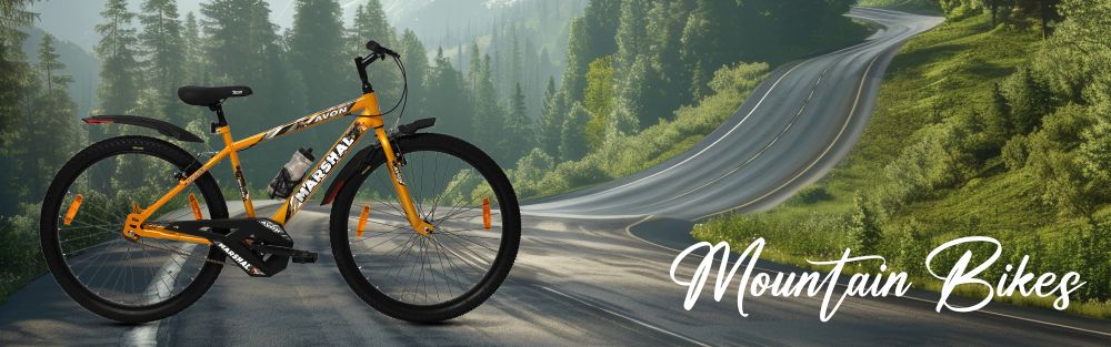 Hitting the Trails: A Beginner Guide to Choosing Mountain Bikes