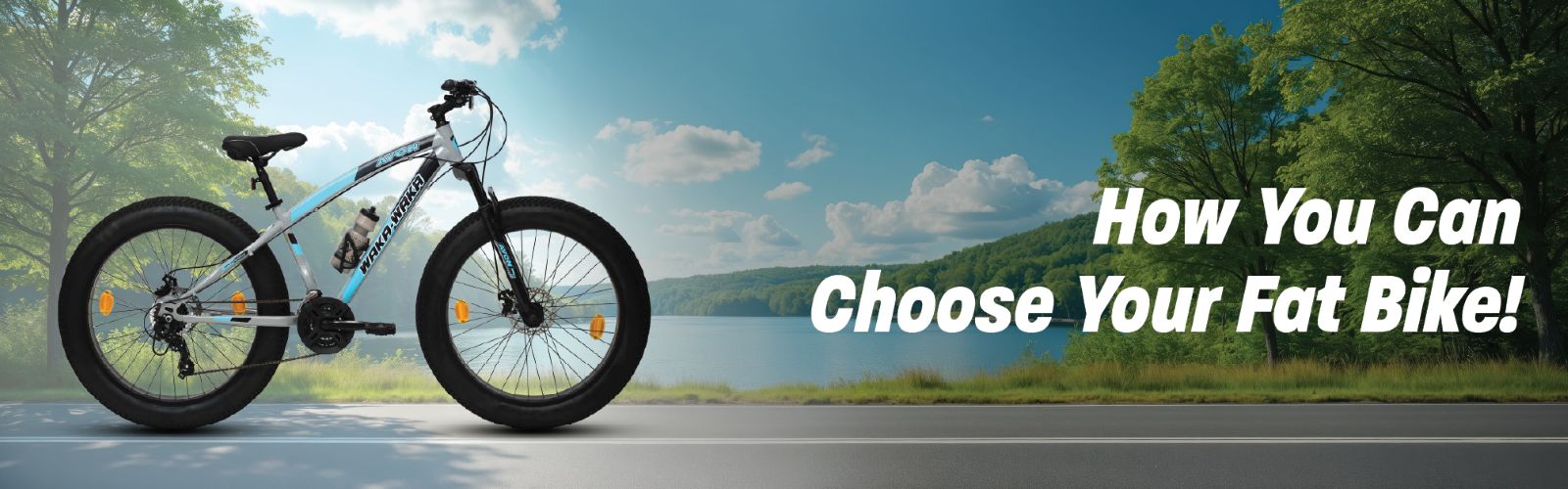How You Can Choose Your Fat Bike!